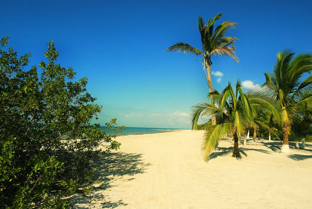 Puerto Rico Property