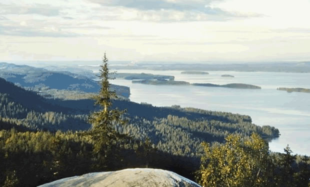 Finland Real Estate For sale 
