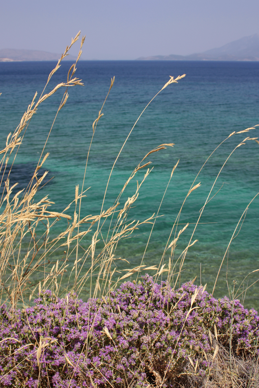 Crete Property Listings