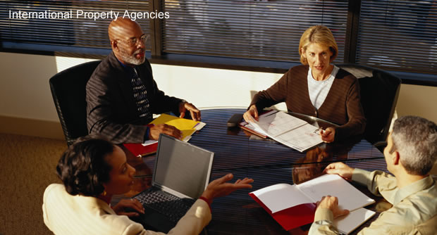 Property Agent