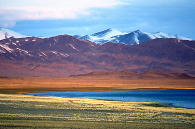 Mongolia Real Estate