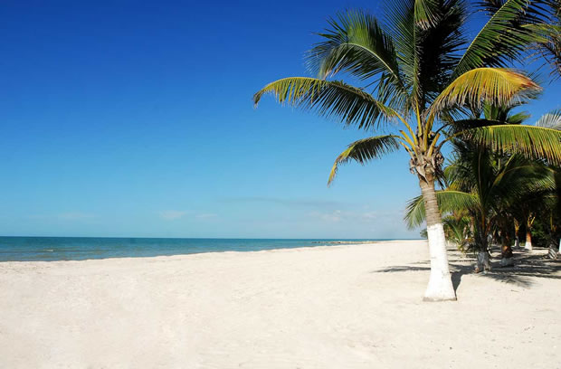 Seychelles Land For sale 