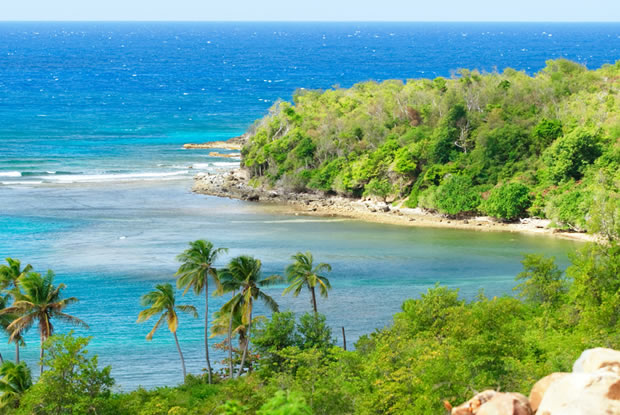 Villas for sale in Suriname